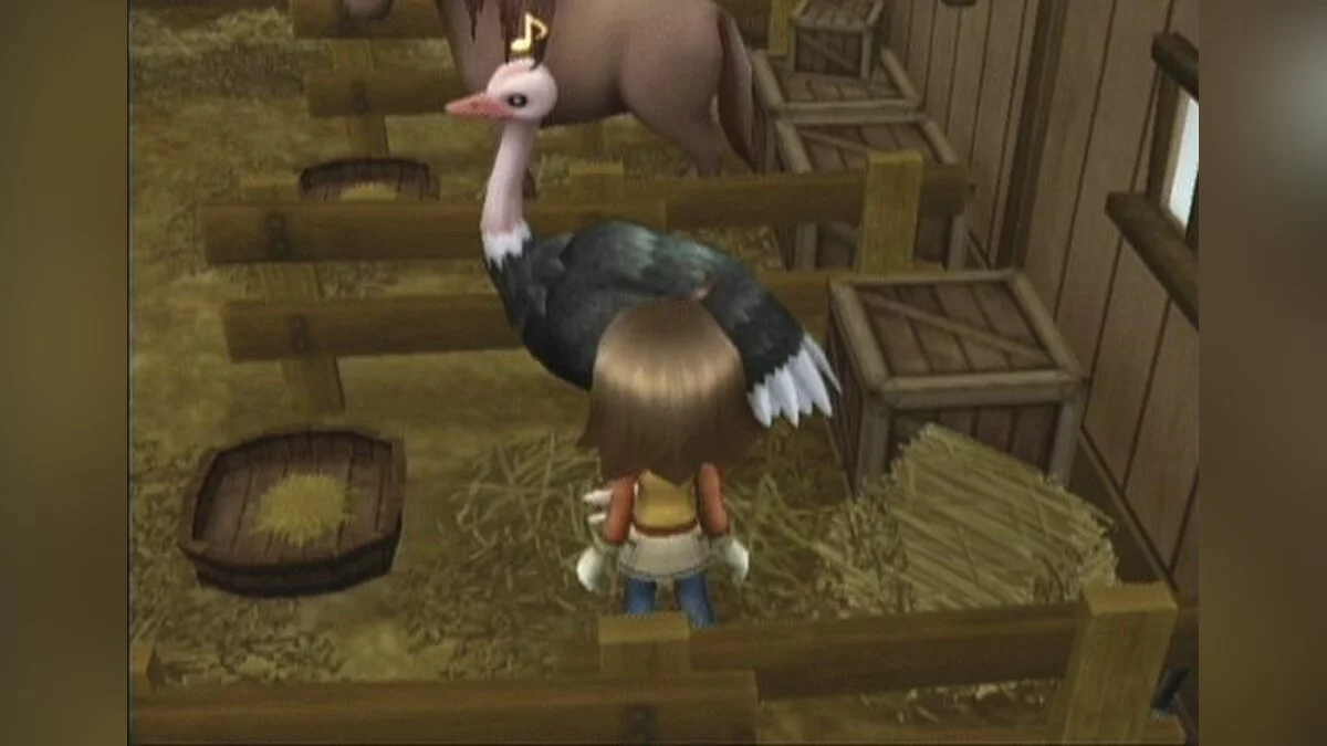 Скриншот из игры Harvest Moon: Tree of Tranquility - 9