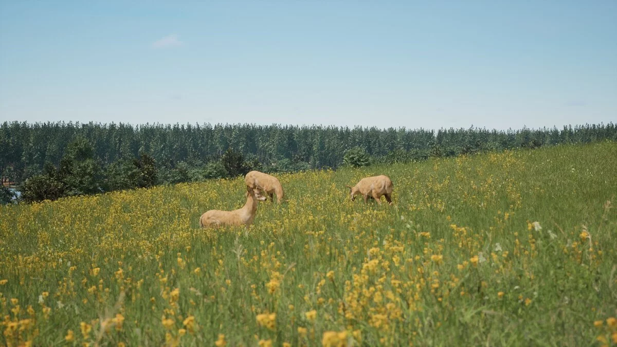 Скриншот из игры Лукоморье - 3