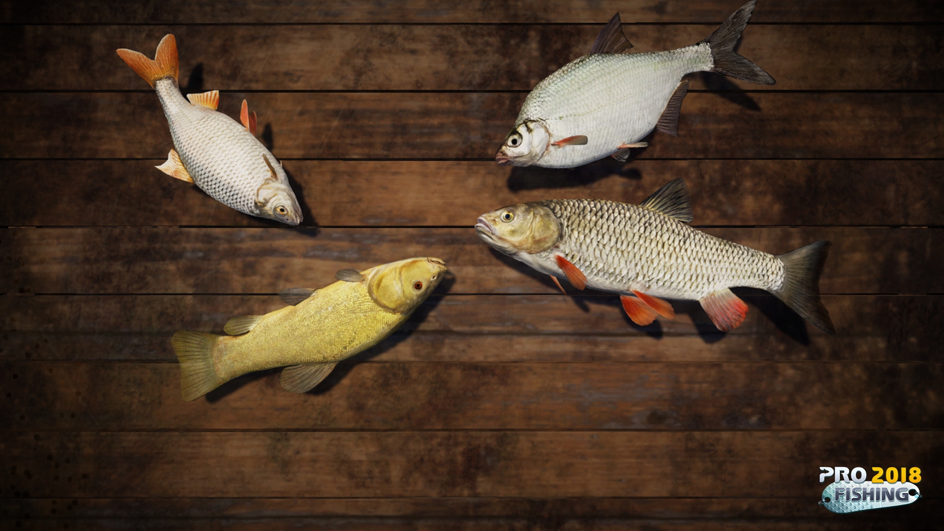 Скриншот из игры PRO FISHING (2018) - 23