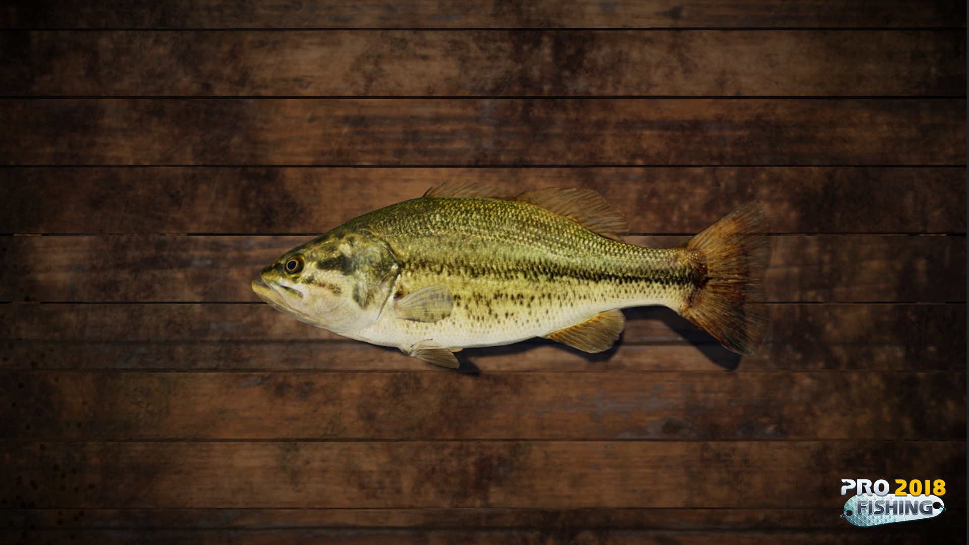 Скриншот из игры PRO FISHING (2018) - 29