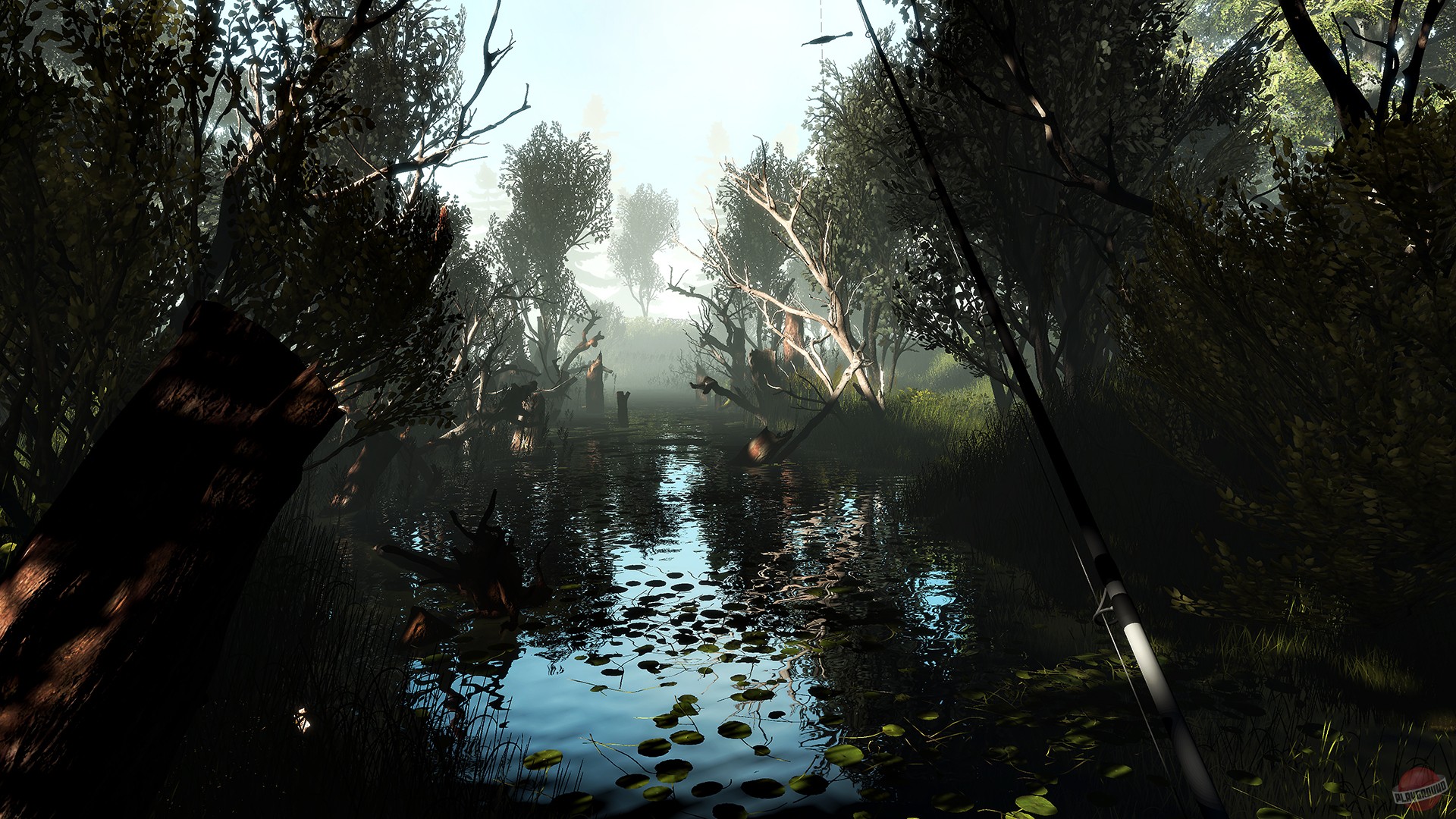 Скриншот из игры Professional Fishing - 10