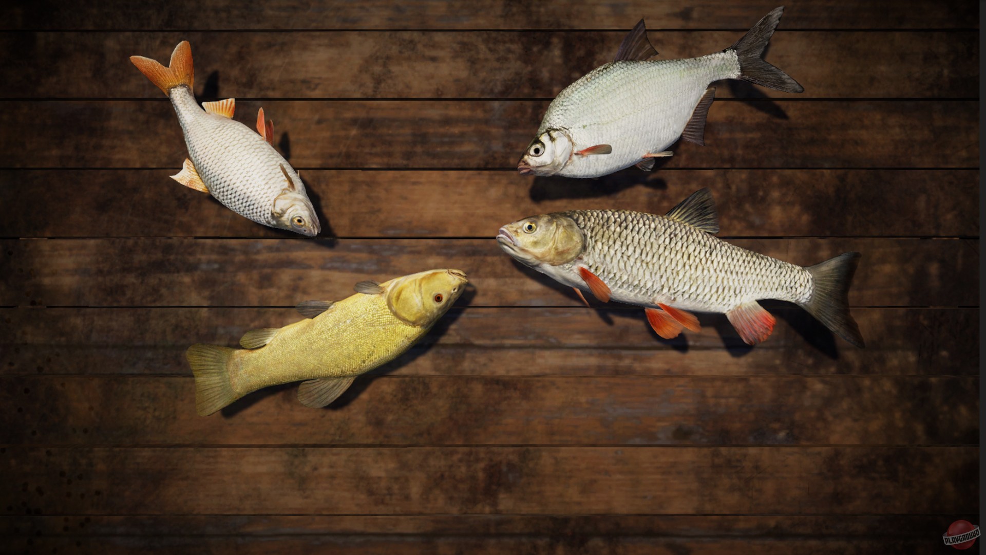 Скриншот из игры Professional Fishing - 6