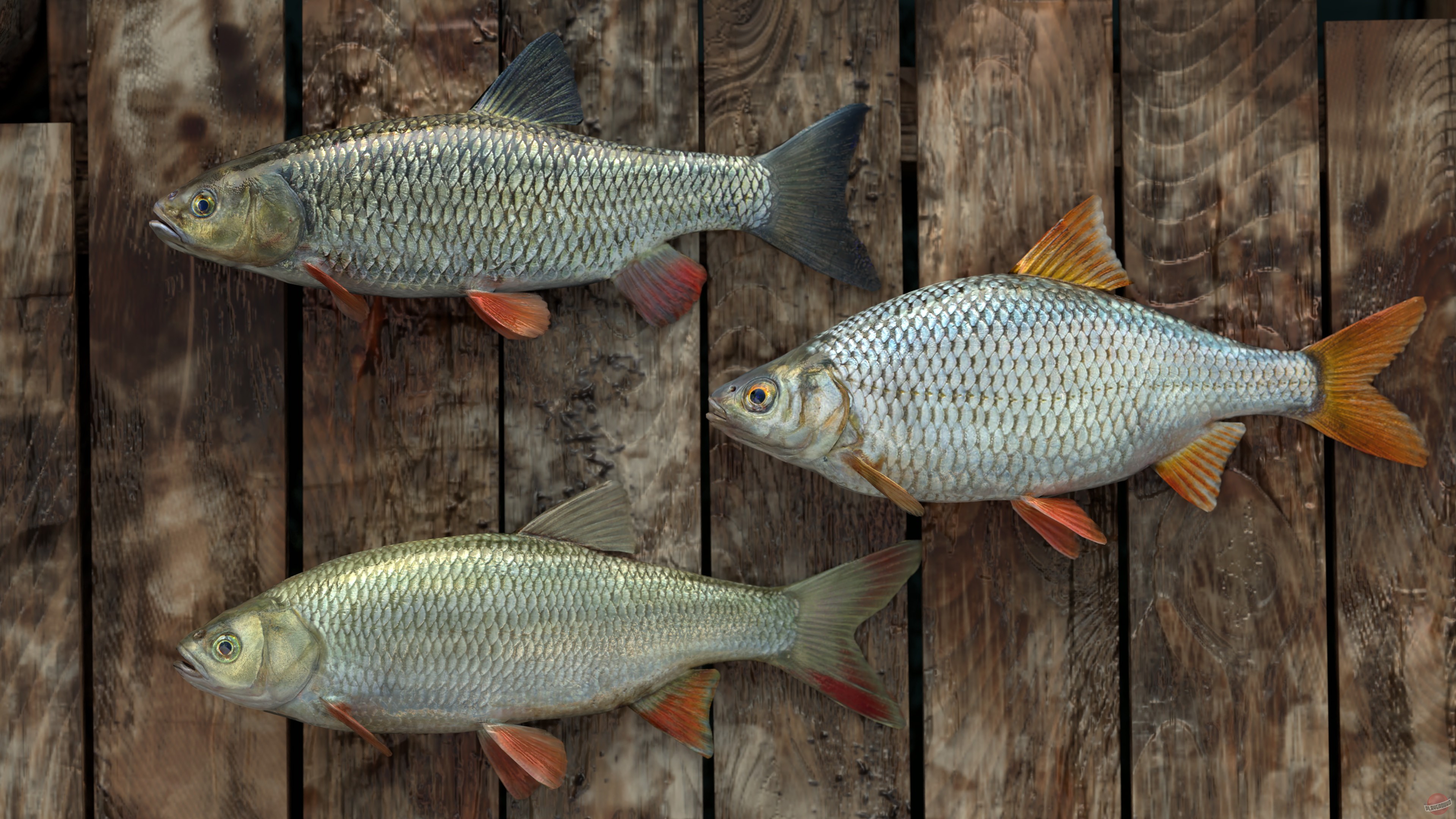 Скриншот из игры Professional Fishing - 13