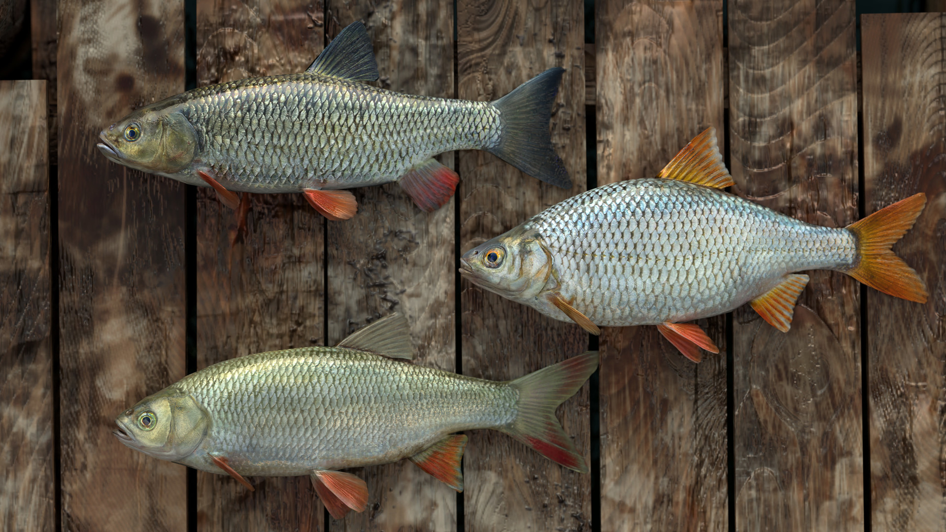 Скриншот из игры Professional Fishing - 11