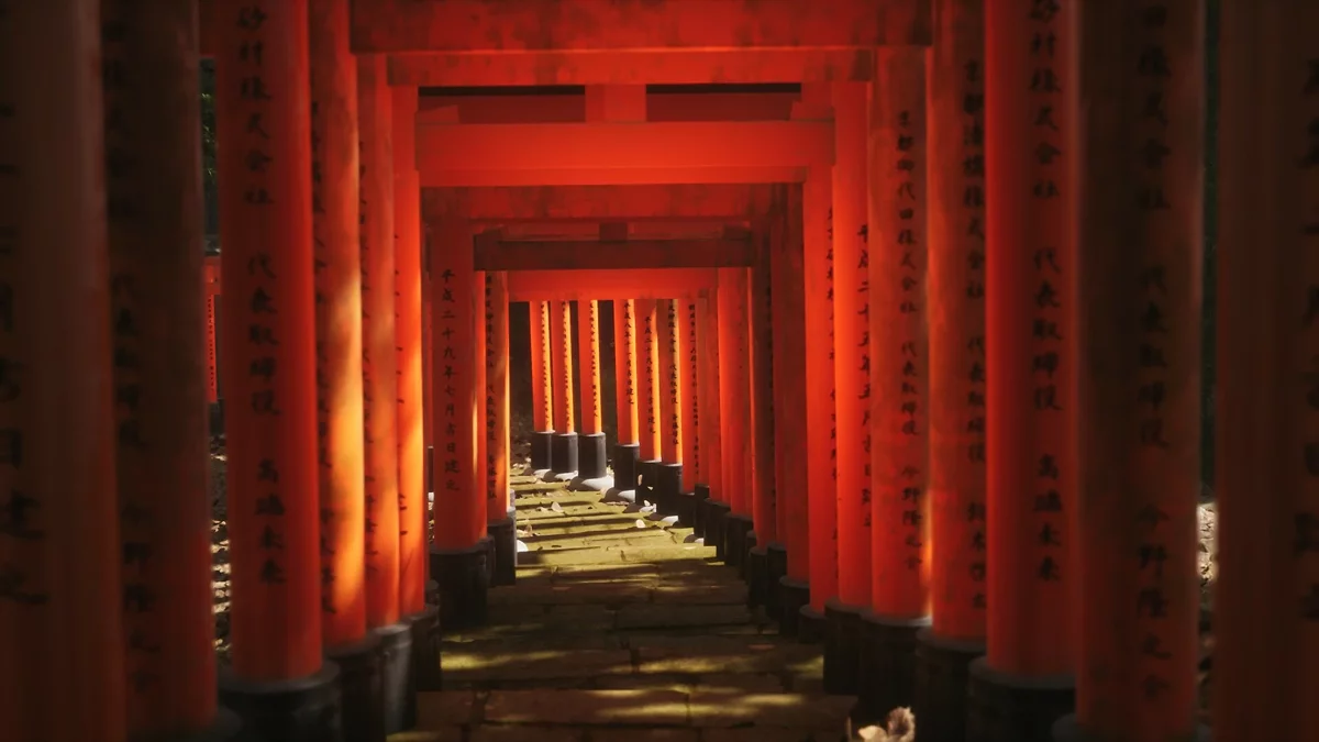 Скриншот из игры Lushfoil Photography Sim - 26