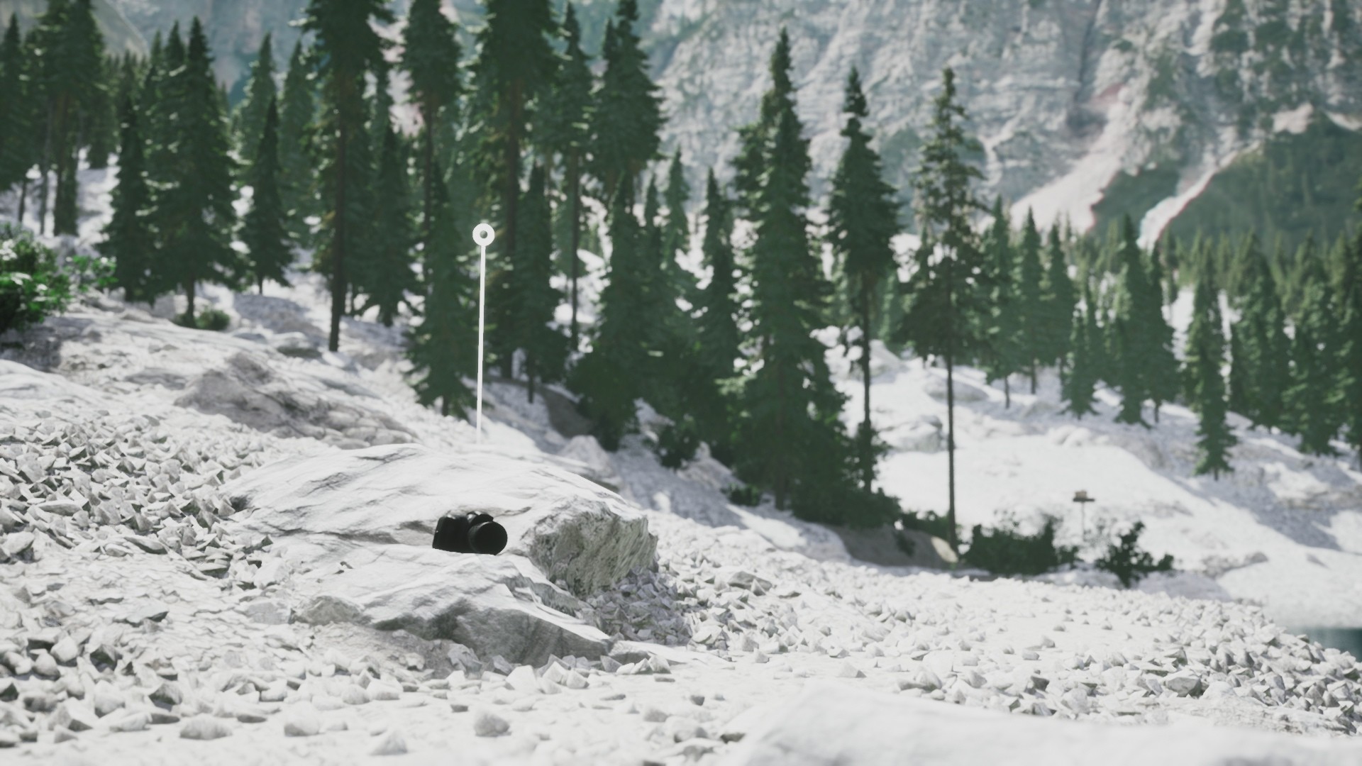 Скриншот из игры Lushfoil Photography Sim - 38