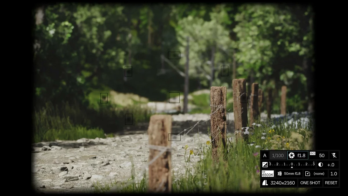 Скриншот из игры Lushfoil Photography Sim - 8