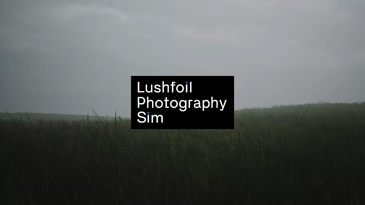 Скриншот из игры Lushfoil Photography Sim - 11