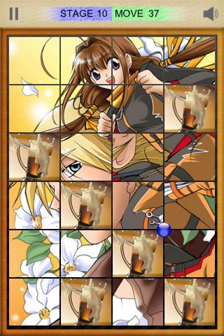 Скриншот из игры Two-Sided Puzzle - 4