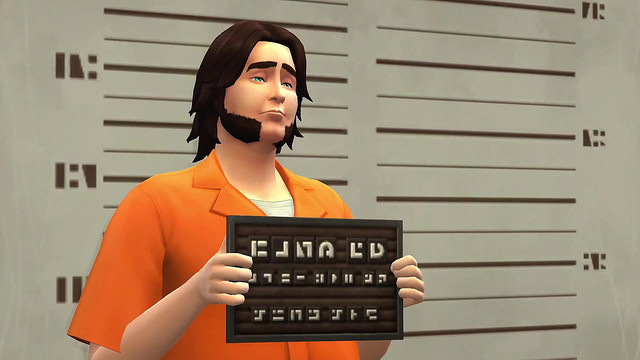 Скриншот из игры The Sims 4: Get To Work - 3