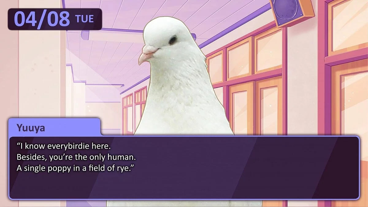 Скриншот из игры Hatoful Boyfriend - 13