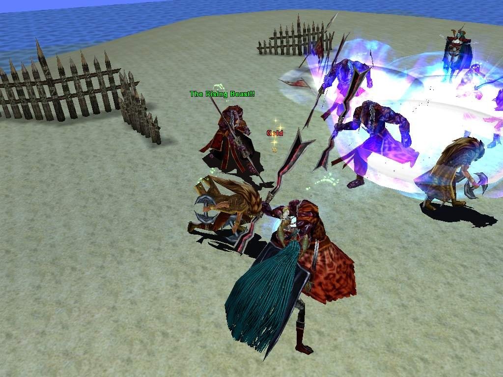 Скриншот из игры Hero Online - 85