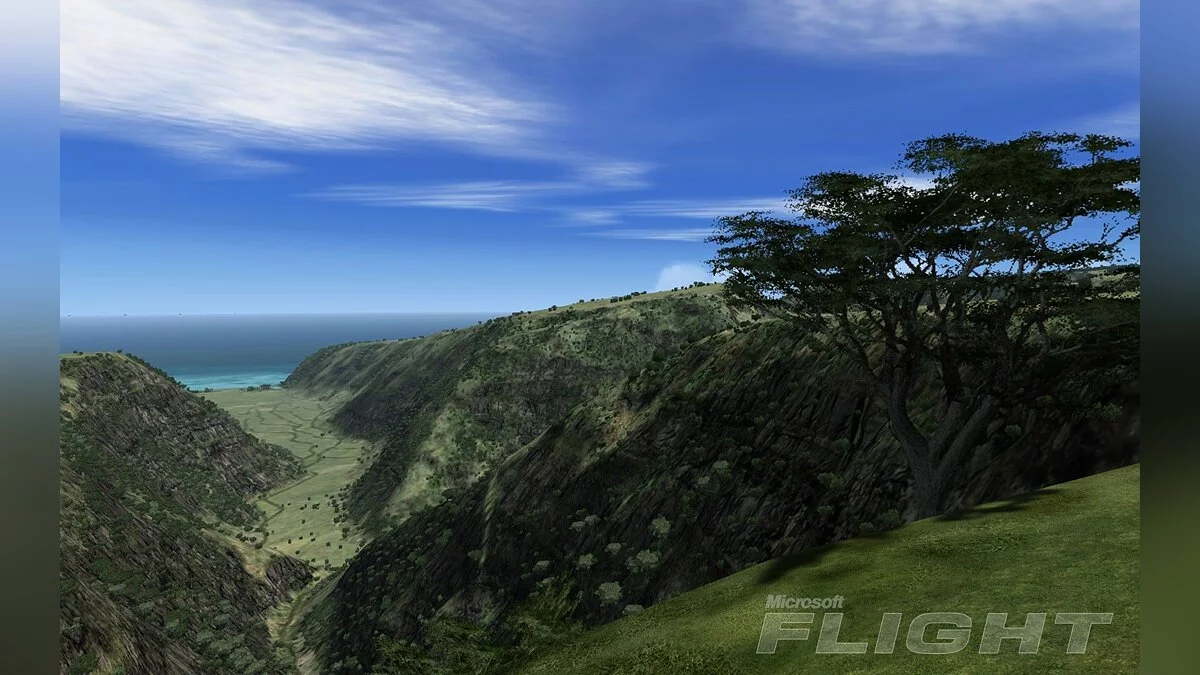 Скриншот из игры Microsoft Flight - 21