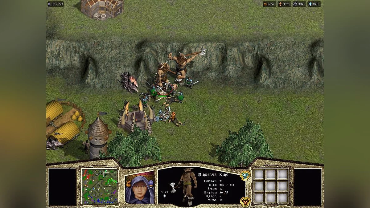 Скриншот из игры Warlords Battlecry - 20