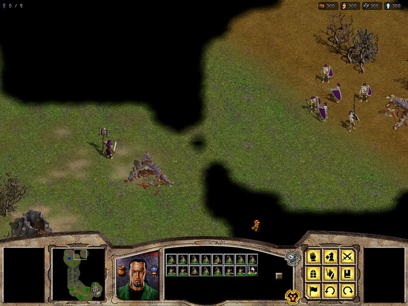 Скриншот из игры Warlords Battlecry - 2