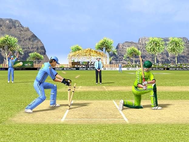 Скриншот из игры Cricket Revolution - 26