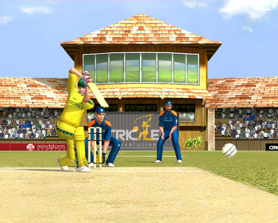 Скриншот из игры Cricket Revolution - 3