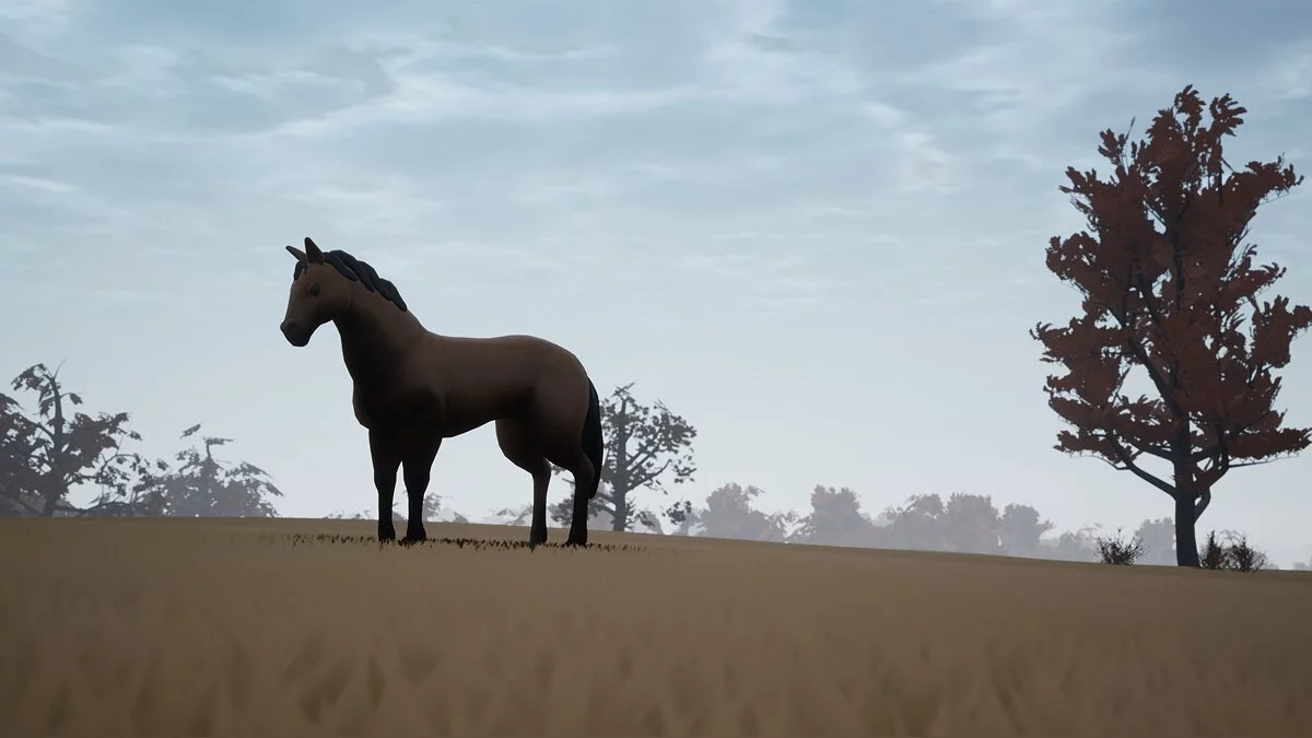 Скриншот из игры Adios - 34