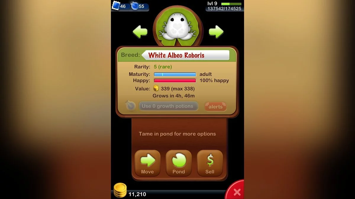 Скриншот из игры Pocket Frogs - 9