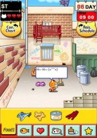 Обложка игры Baby Cat, Raising Kittens