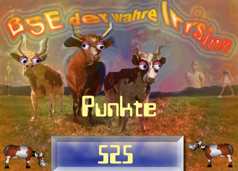 Скриншот из игры BSE - der wahre Irrsinn - 5