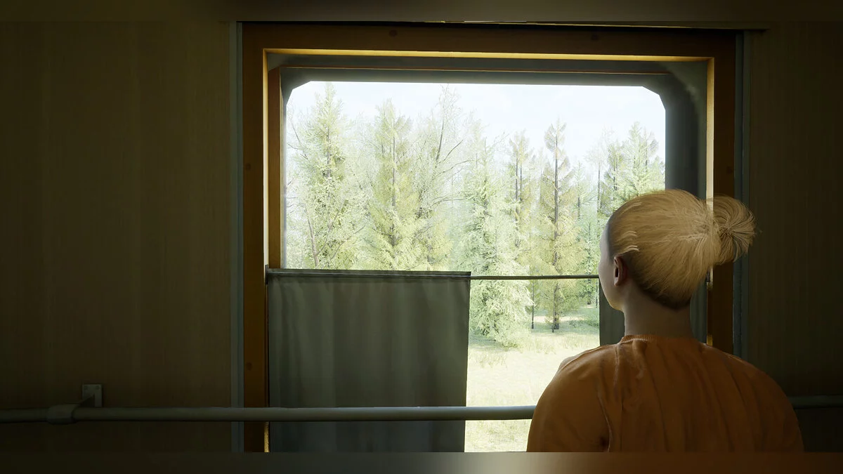 Скриншот из игры Russian Train Trip 2 - 3