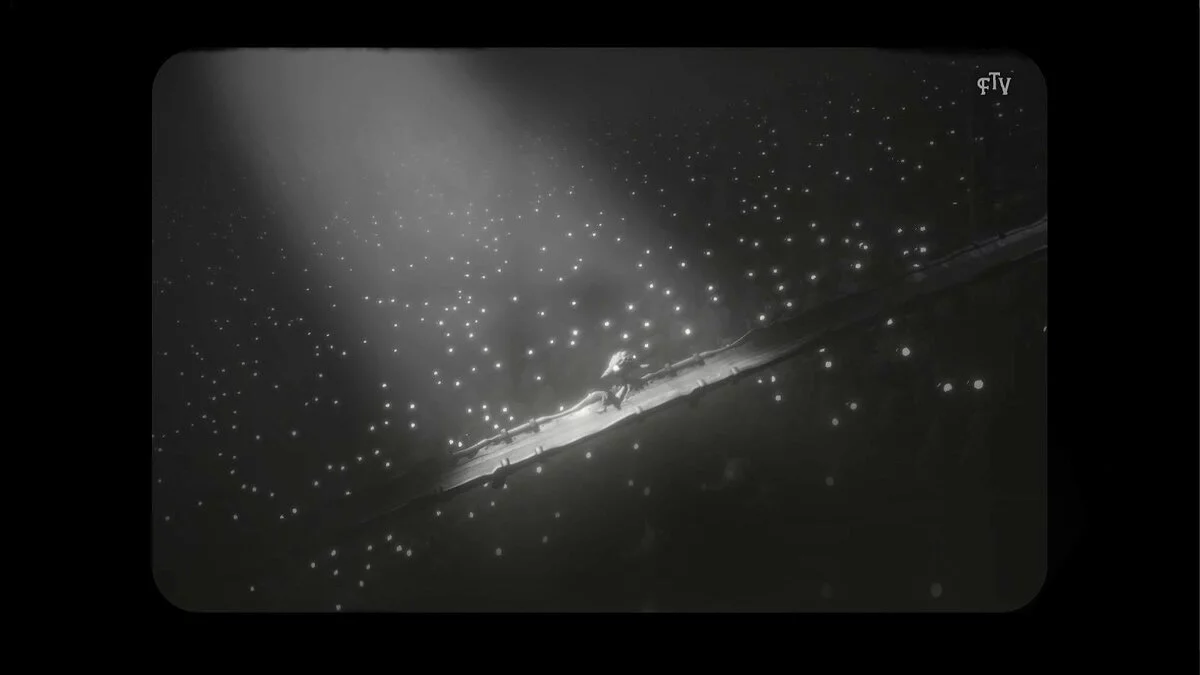 Скриншот из игры White Shadows - 13