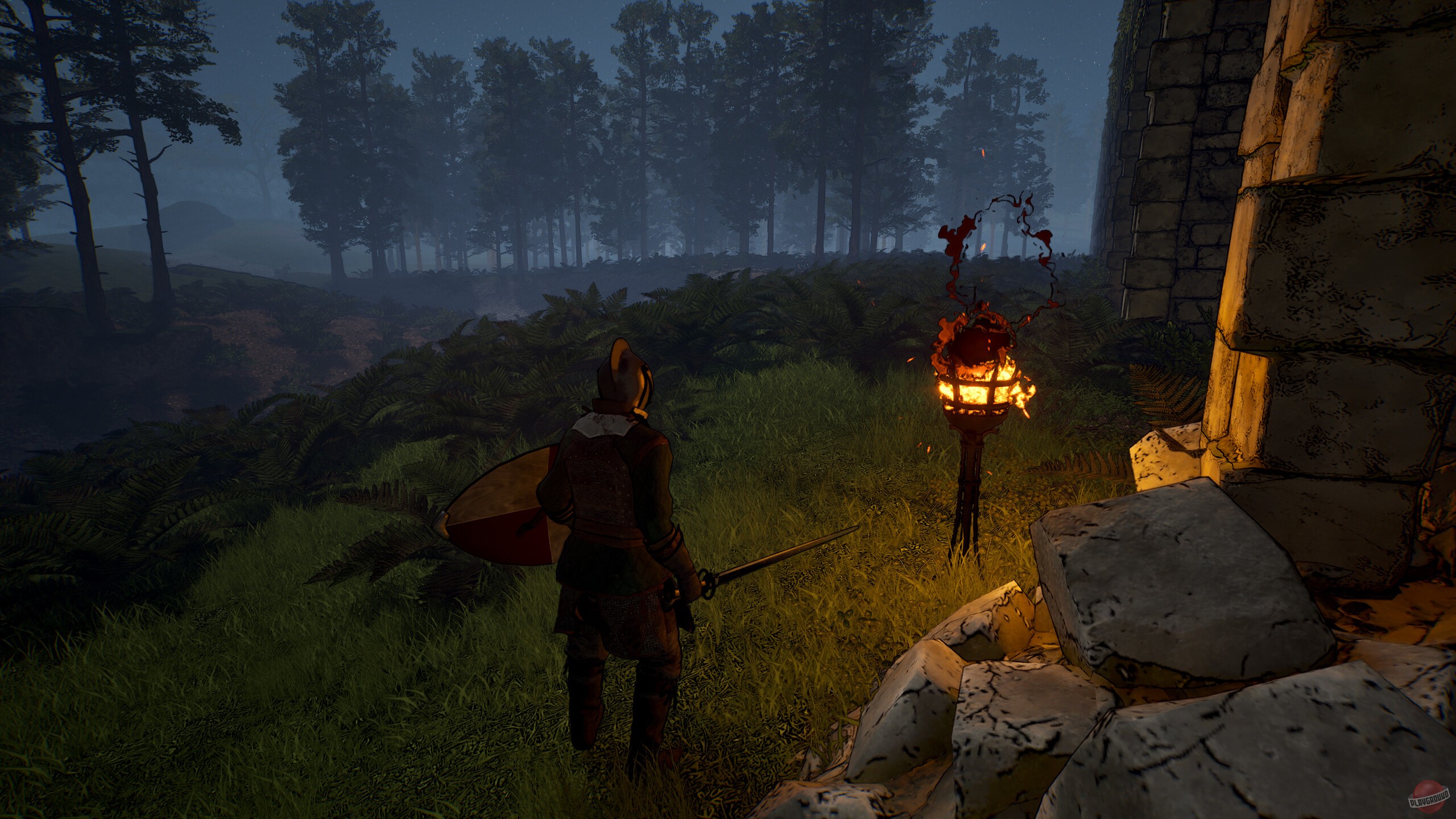 Скриншот из игры Dungeons of Edera 2 - 5