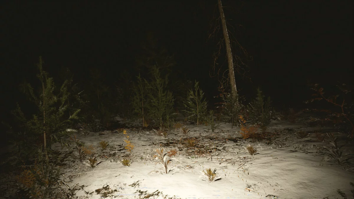 Скриншот из игры Сэттээх - 14