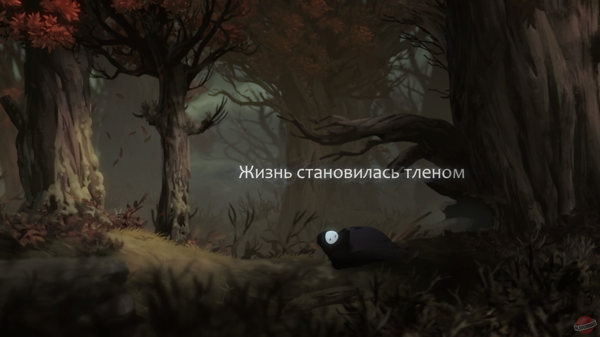 Скриншот из игры Ori and The Blind Forest - 54