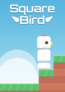 Обложка игры Square Bird