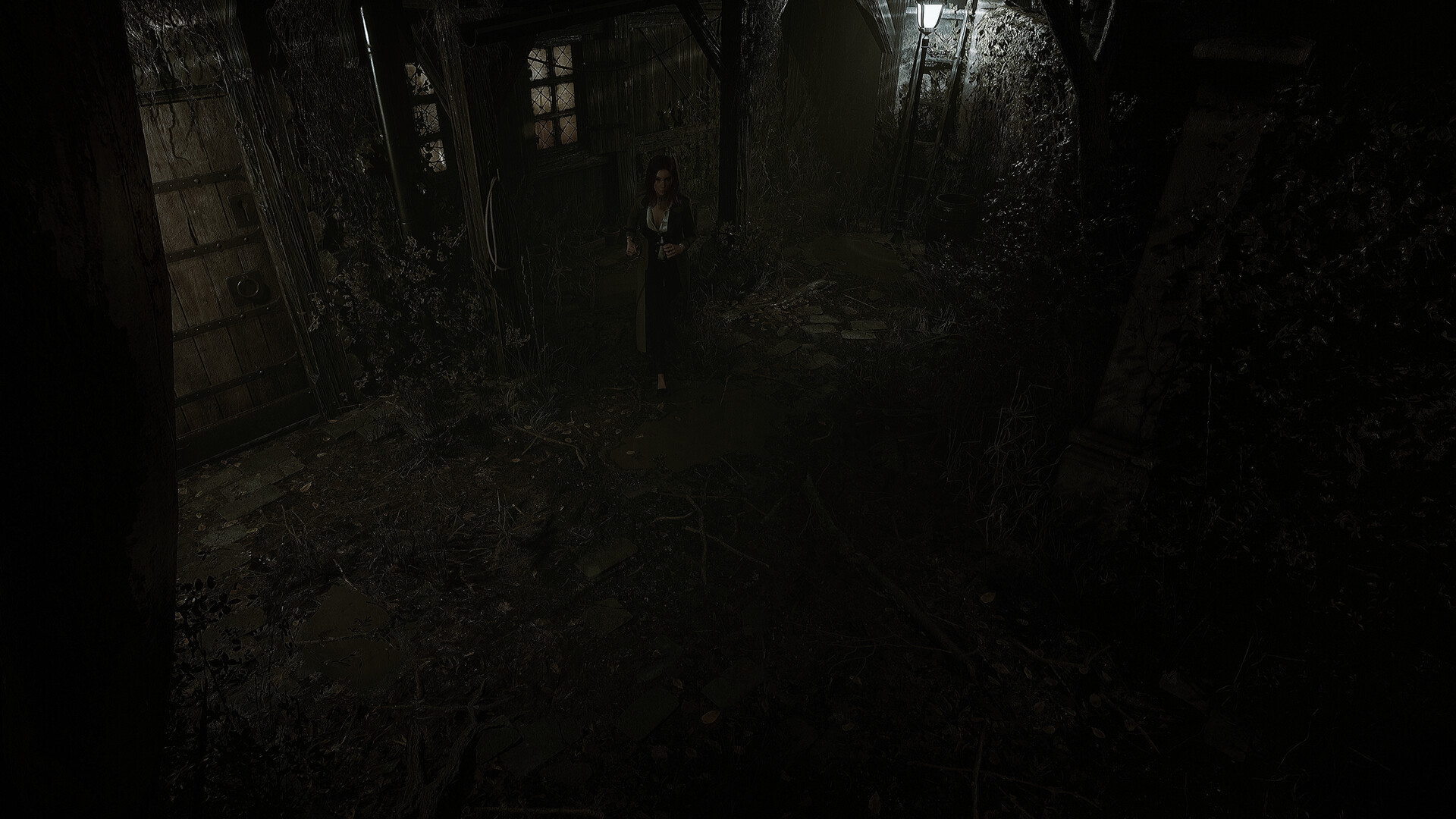 Скриншот из игры Echoes of the Living - 4