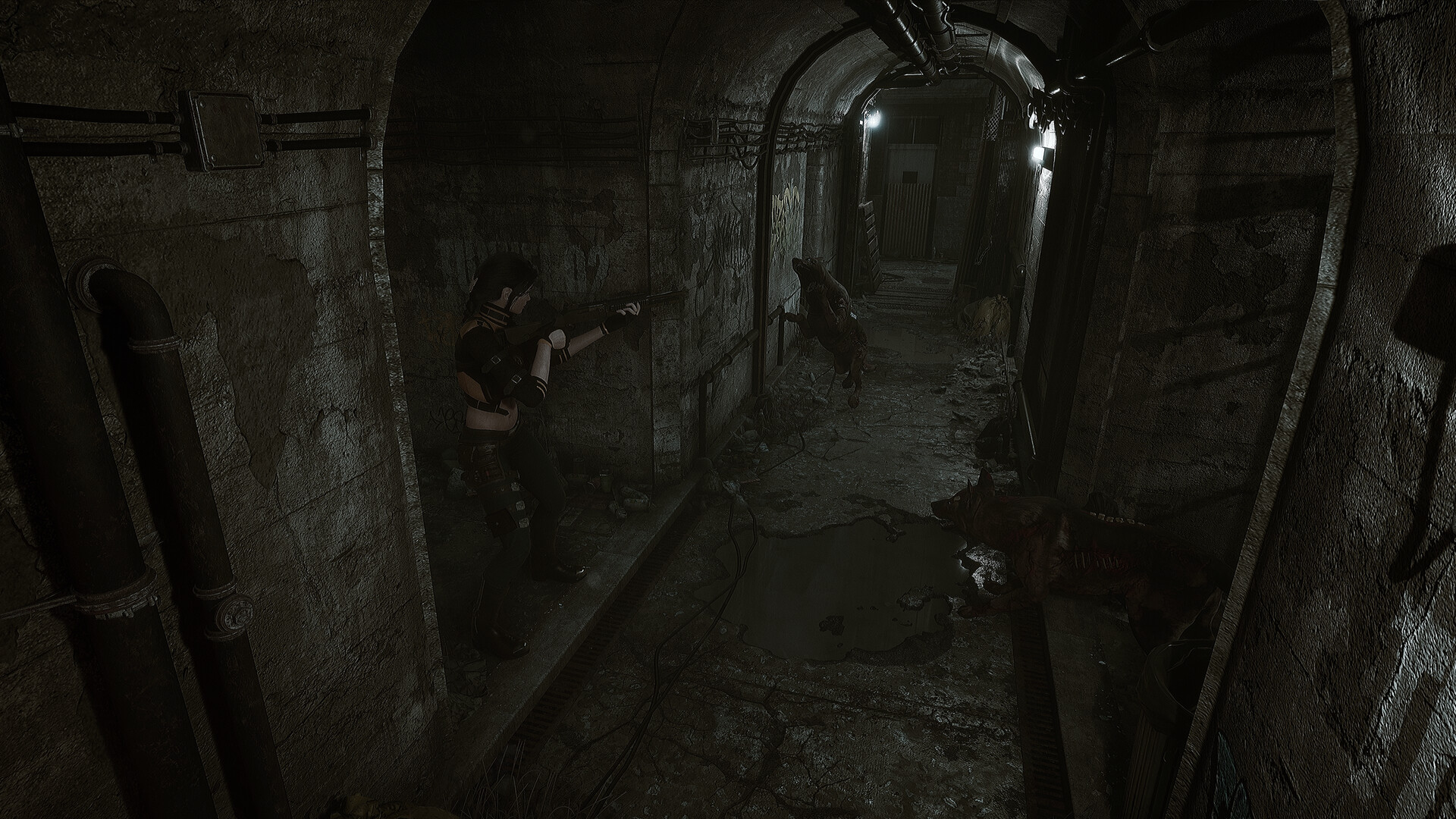 Скриншот из игры Echoes of the Living - 14