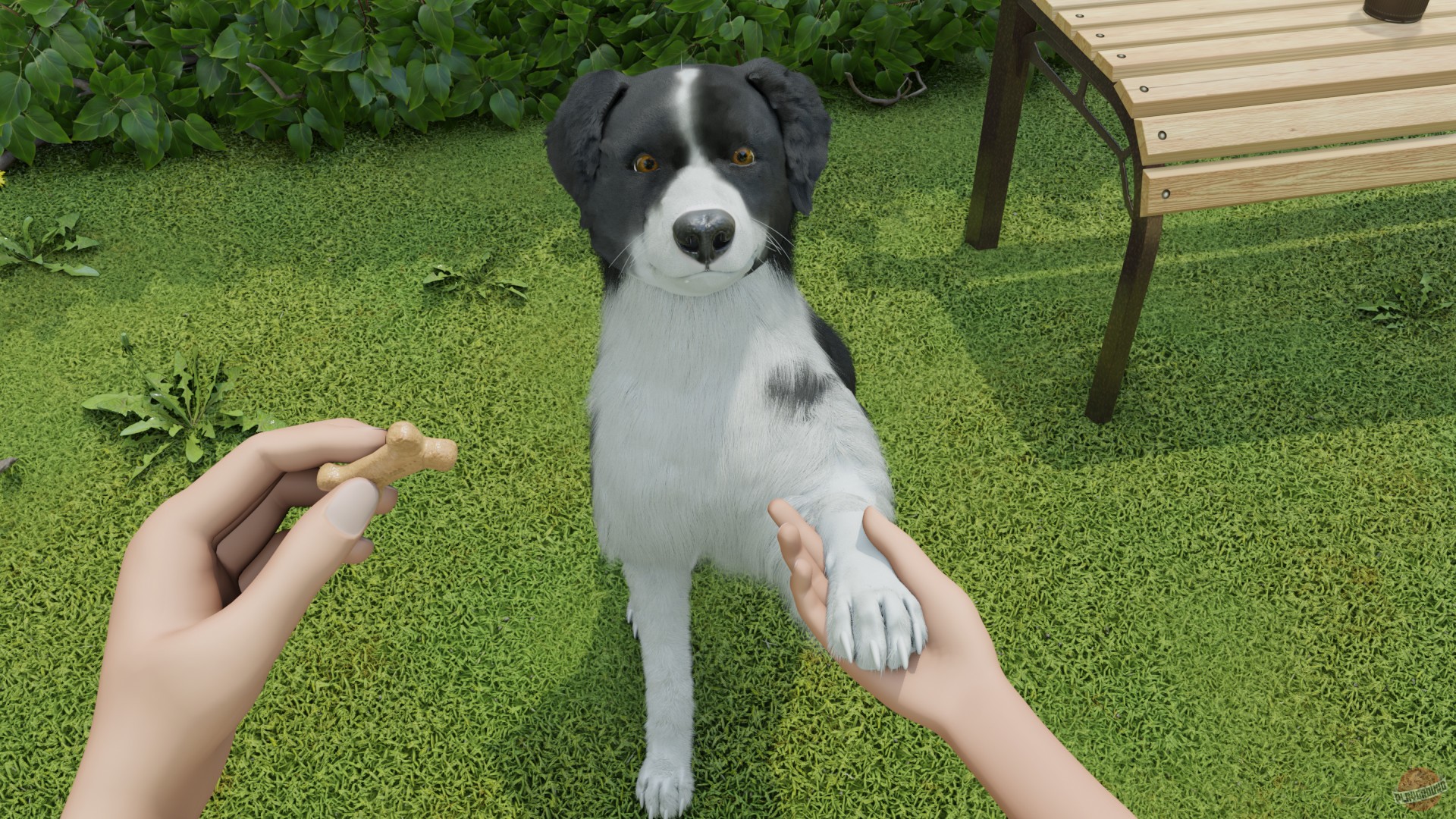 Скриншот из игры Dog Trainer - 9