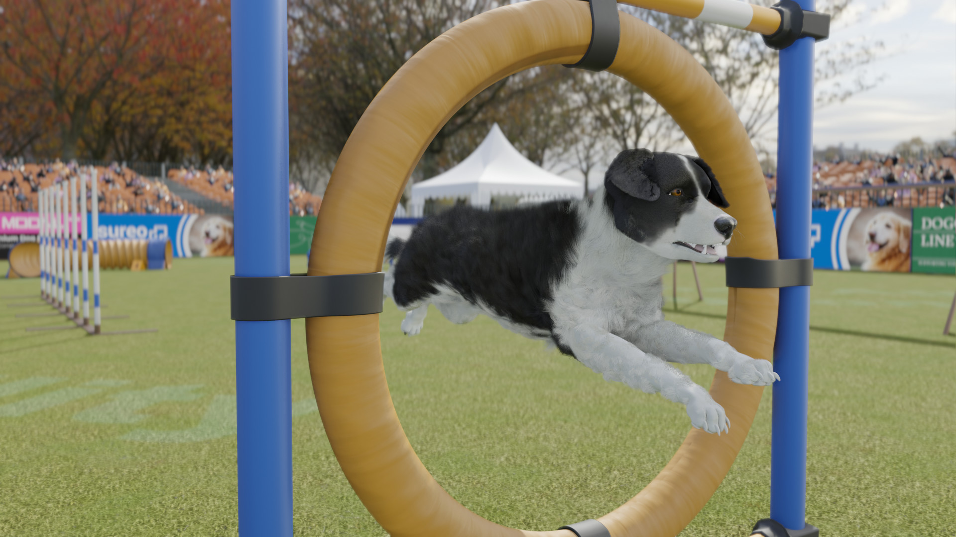 Скриншот из игры Dog Trainer - 5