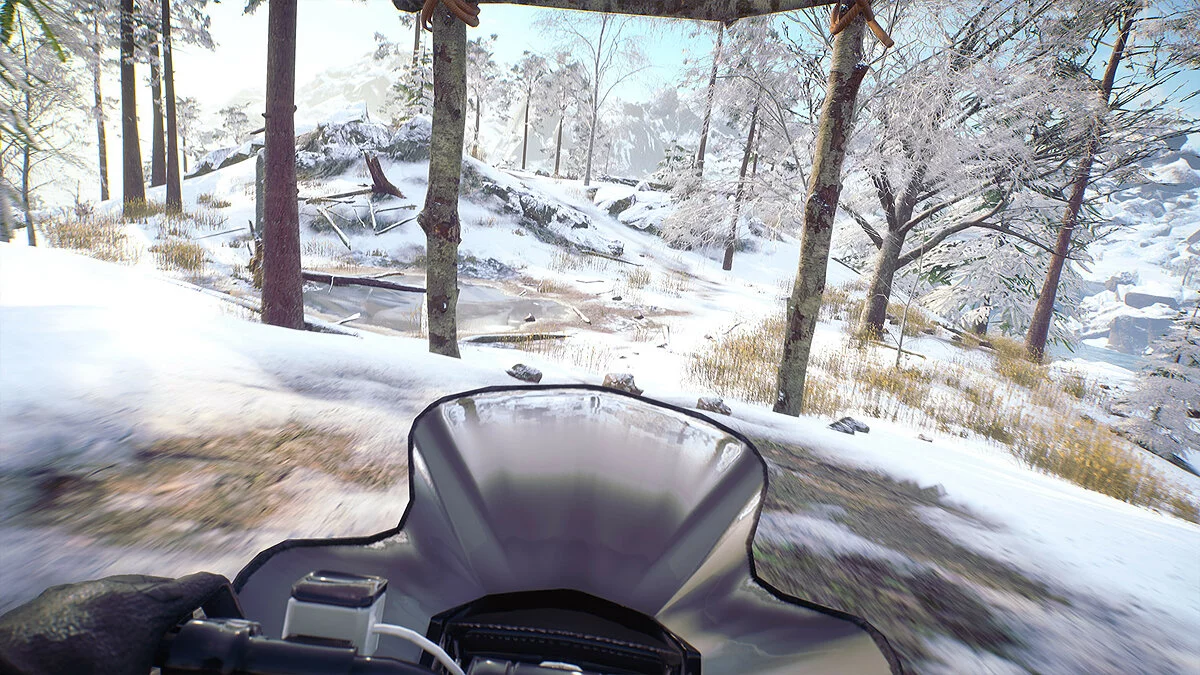 Скриншот из игры Til Nord - 10