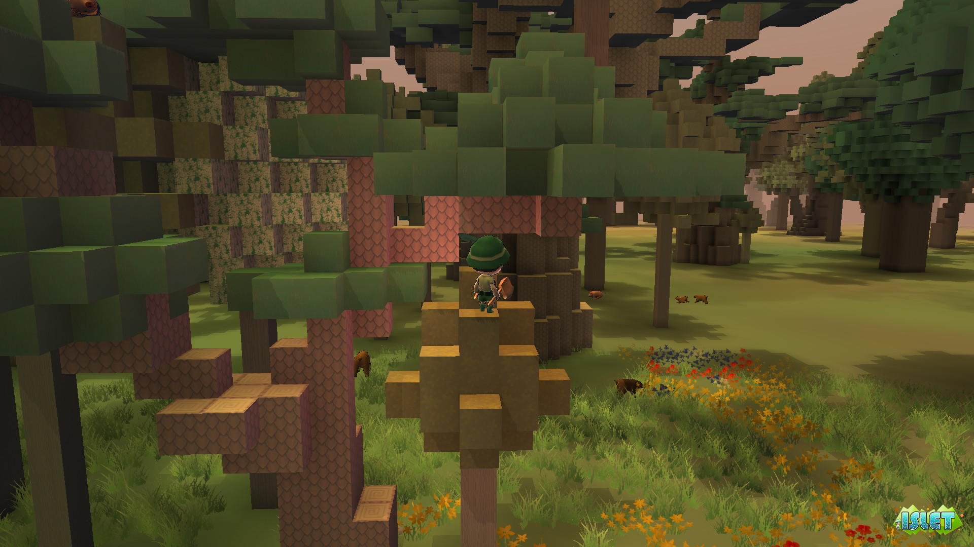 Скриншот из игры Islet Online - 13