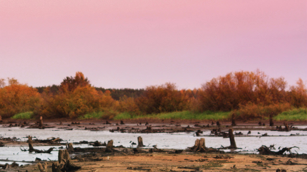 Скриншот из игры Among the Dead - 5