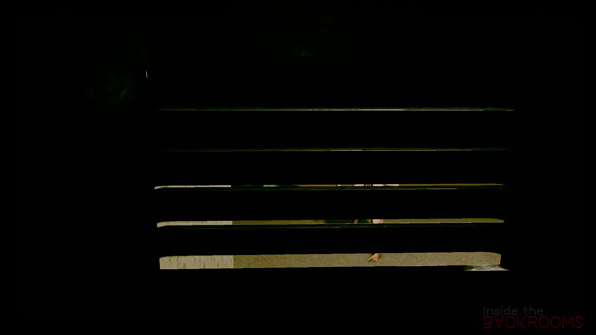 Скриншот из игры Inside the Backrooms - 11