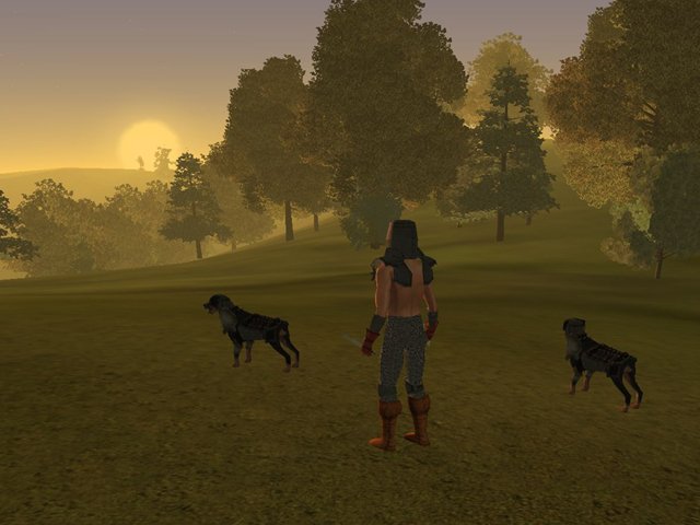 Скриншот из игры Wish - 11