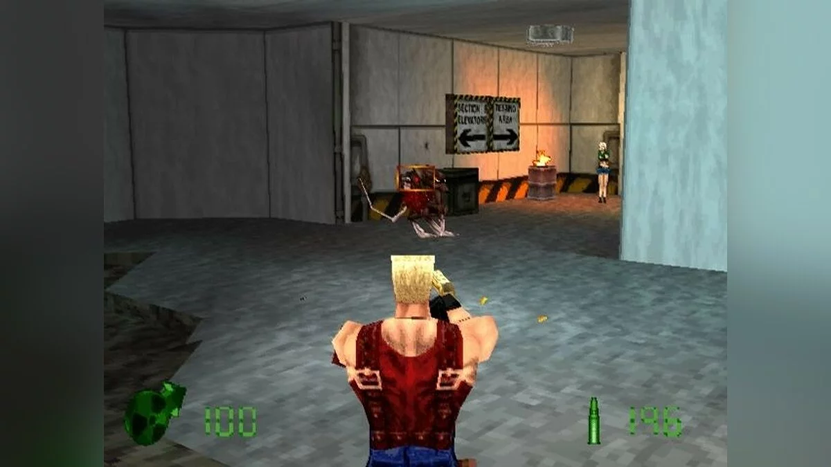 Скриншот из игры Duke Nukem: Land of the Babes - 2