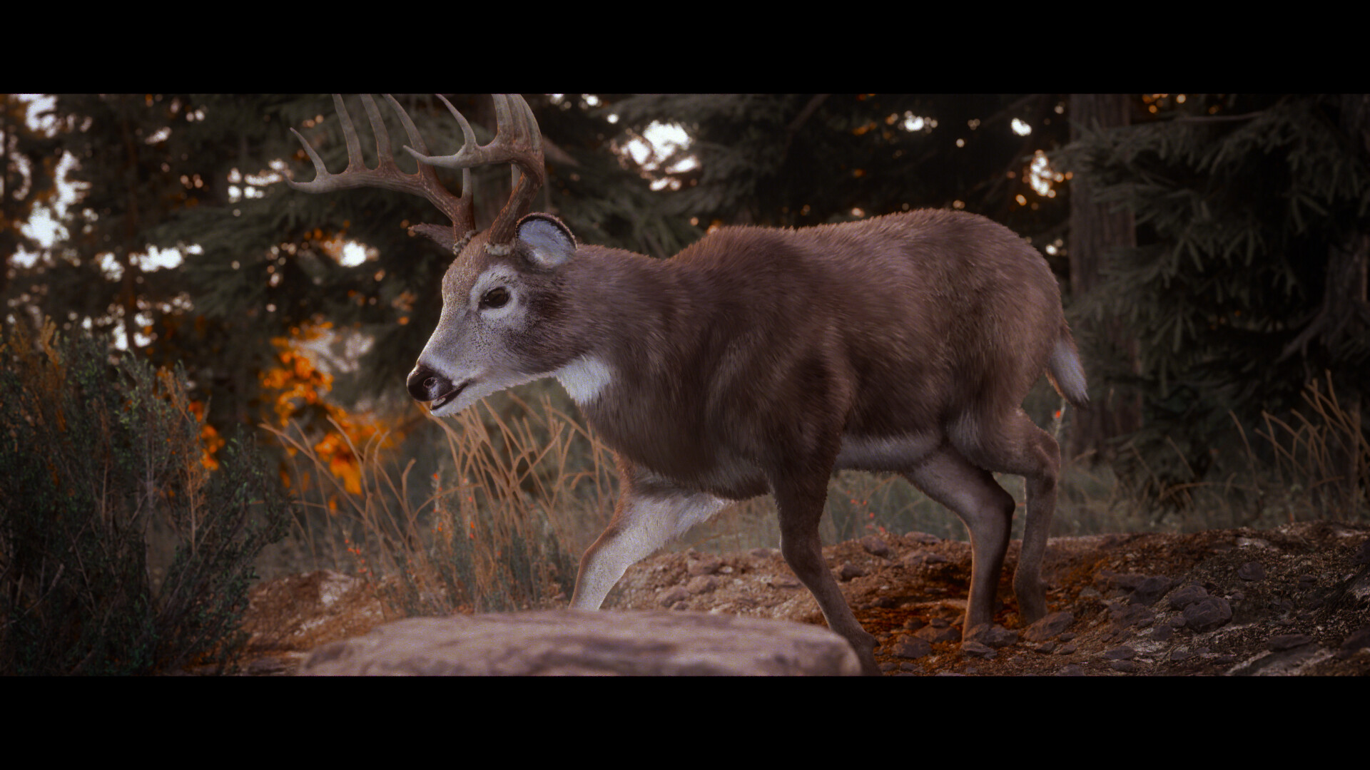 Скриншот из игры Hunting Simulator 3 - 4