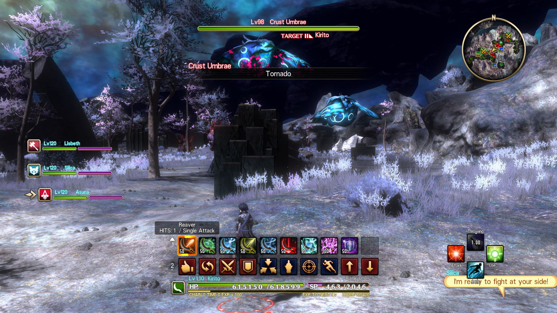 Скриншот из игры Sword Art Online: Hollow Realization - 25