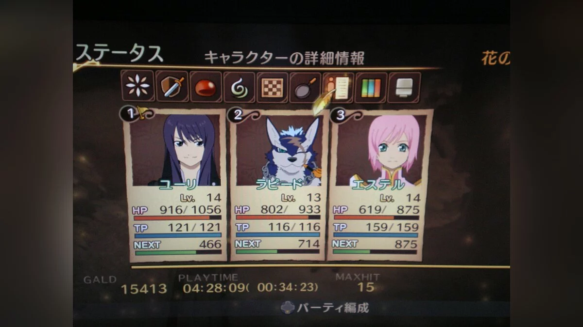 Скриншот из игры Tales of Vesperia - 29