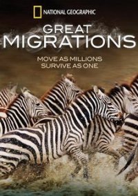 Обложка игры Great Migrations