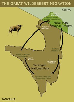 Скриншот из игры Great Migrations - 5