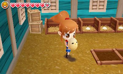 Скриншот из игры Harvest Moon 3D: The Lost Valley - 15
