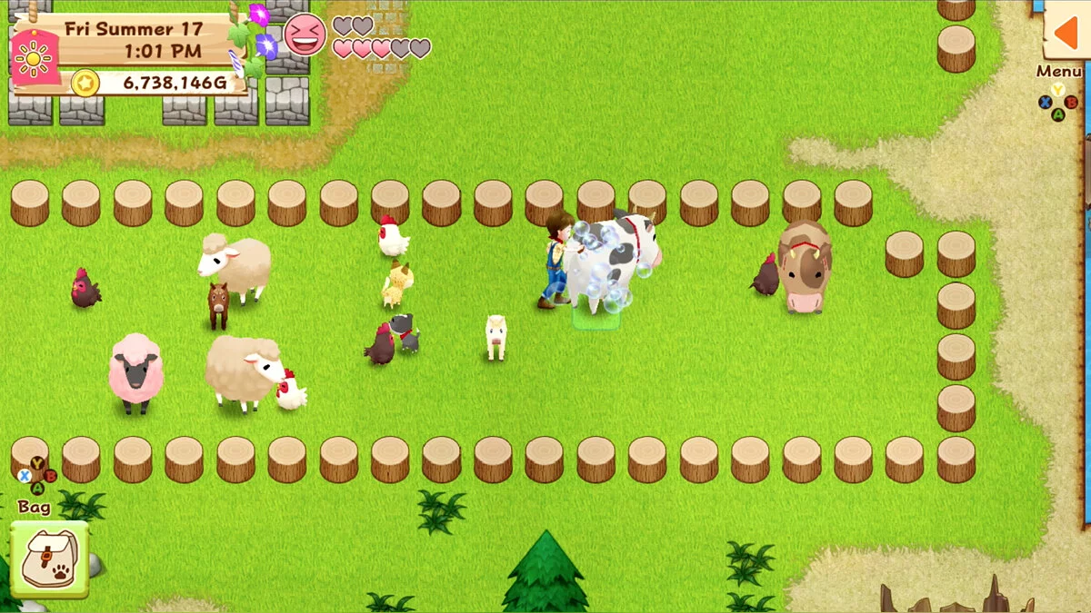 Скриншот из игры Harvest Moon: Light of Hope - 22