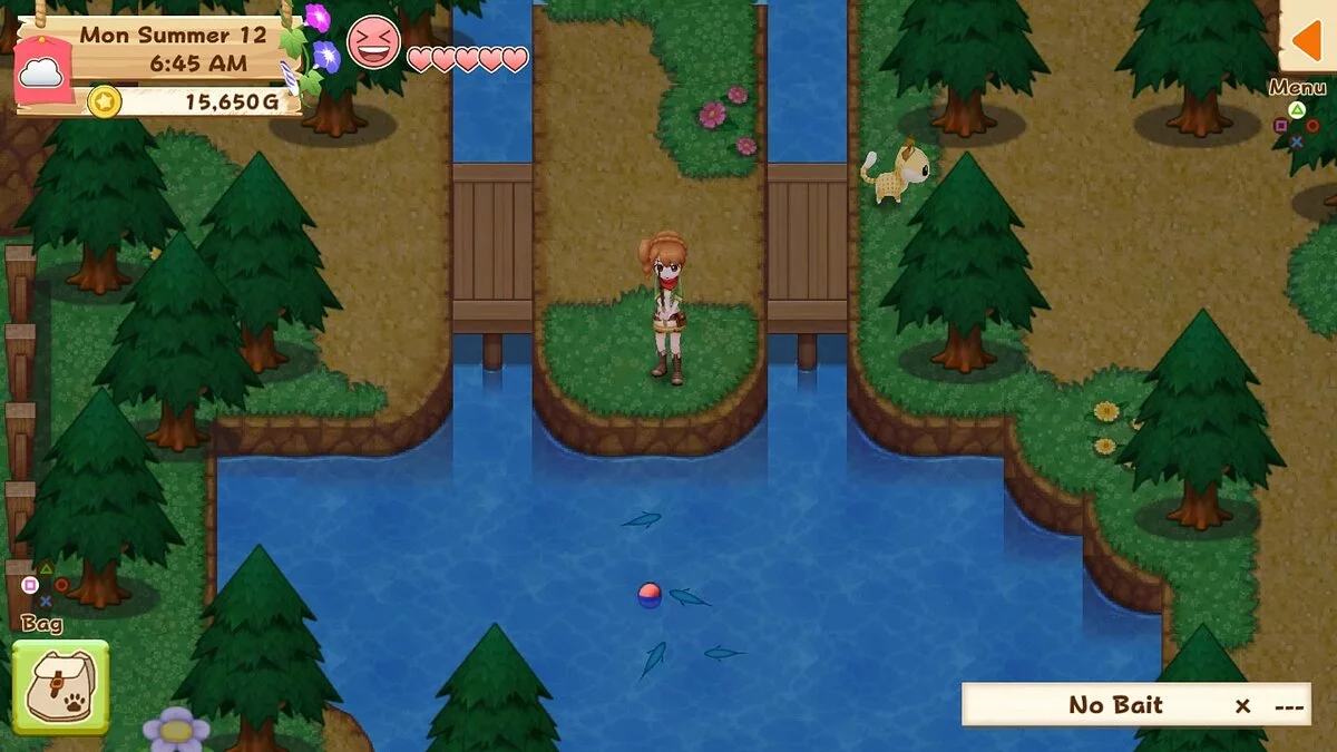 Скриншот из игры Harvest Moon: Light of Hope - 8