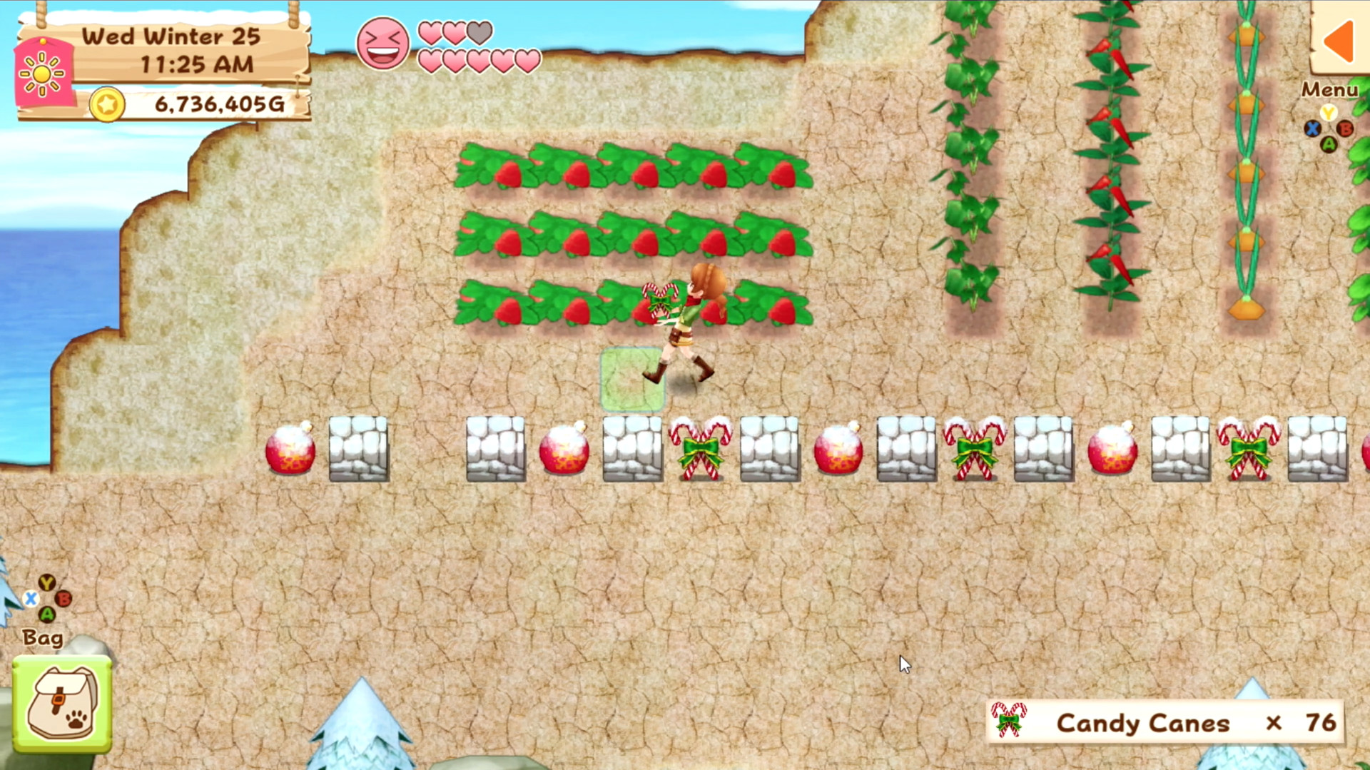 Скриншот из игры Harvest Moon: Light of Hope - 10